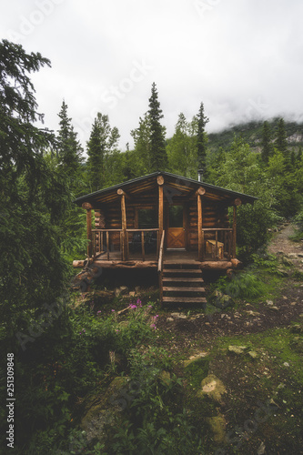 old wooden house in the forest