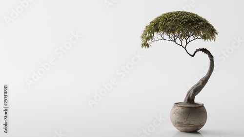 Quadro su tela Bonsai Tree