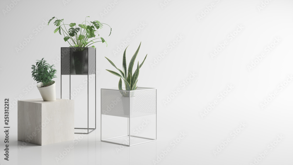Fototapeta premium Houseplants on a white background. Monstera and Sansevieria. 3d illustration
