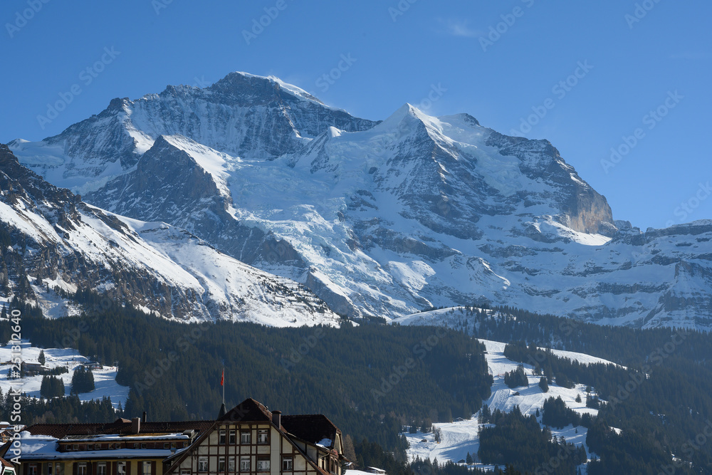 Jungfraumassiv, aus der Sicht von Wengen,  Berneroberland, Schweiz