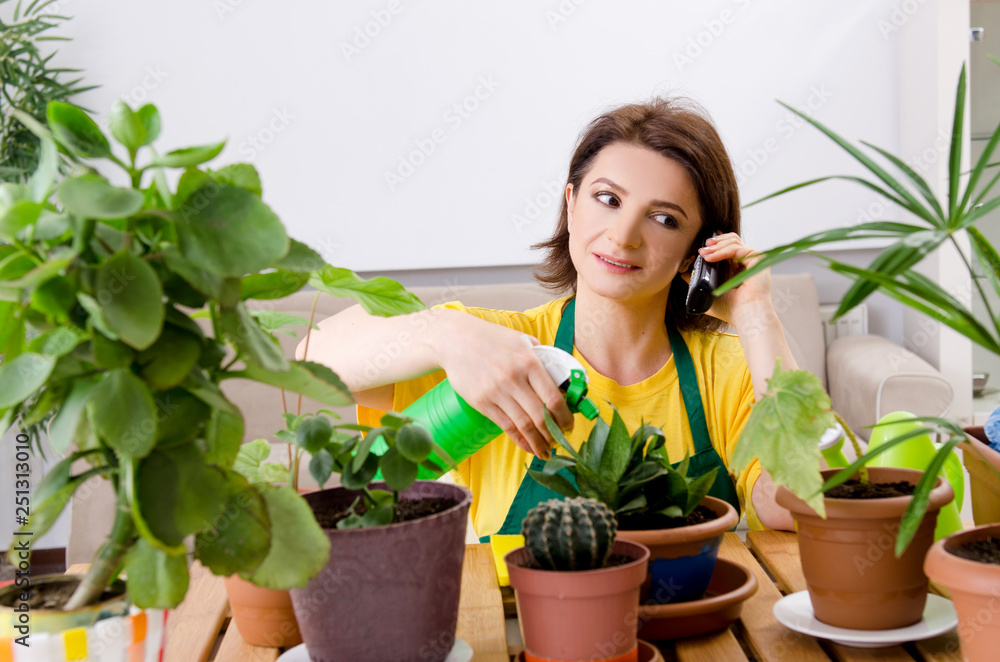Female gardener with plants indoors Female gardener with plants indoors