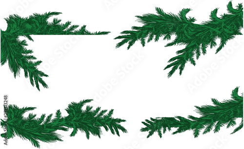 collection of herbs isolated on white background