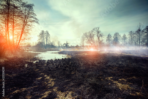 Forest fire - environmental damage © Sergii Kondrytskyi