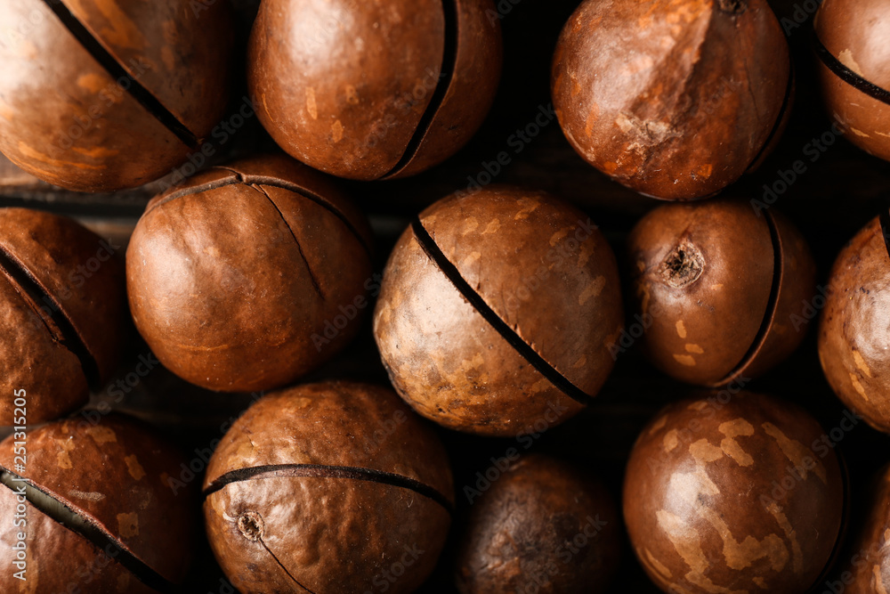 Tasty macadamia nuts as background Tasty macadamia nuts as background