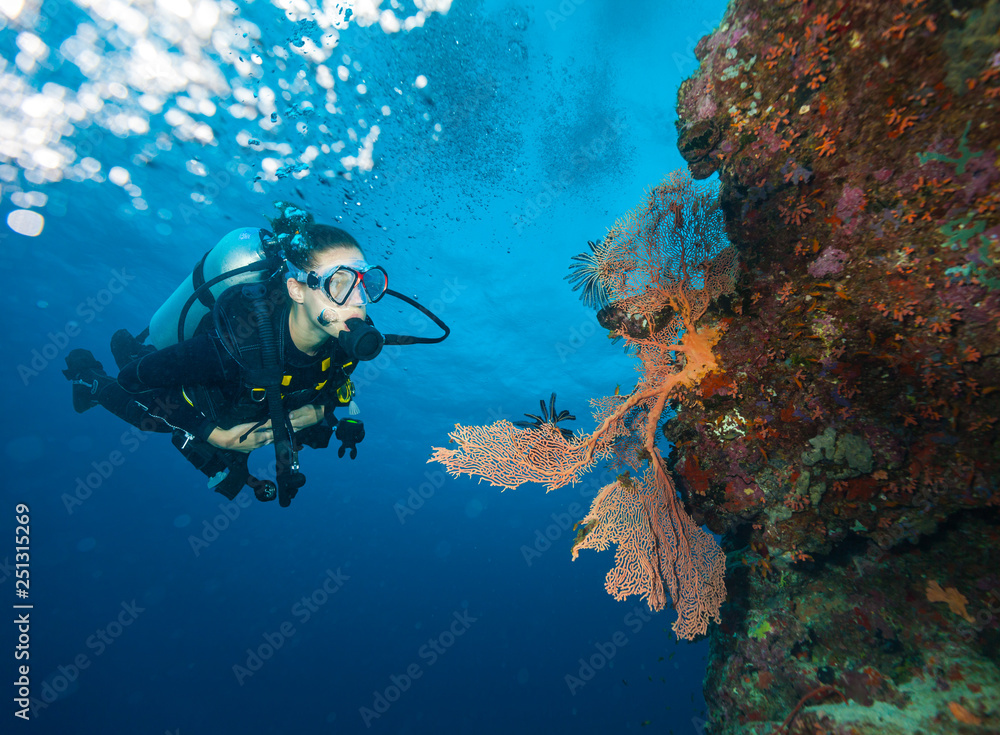 Fototapeta premium Young woman scuba diver exploring coral reef.