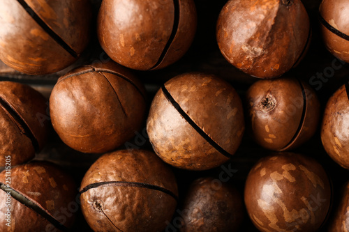 Tasty macadamia nuts as background photo