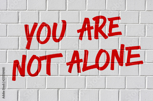 Graffiti on a brick wall - You are not alone