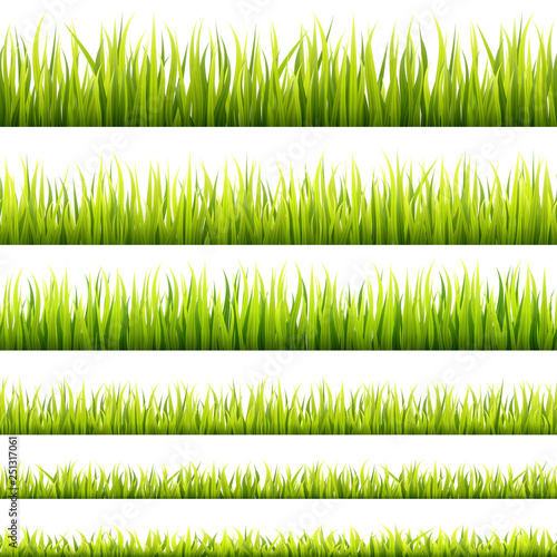 Fresh and green spring grass sprouts and herbal growth seamless banners. Springtime lawn panorama in a sunlight. Foliage lines for website footers and decorations.