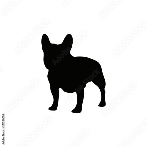 French bulldog silhouette sketch in black color isolated on white. Realistic frenchie vector illustration. photo
