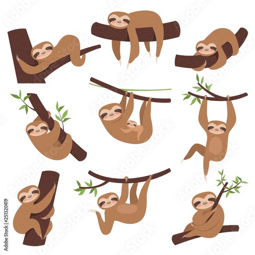 Sloth on branch. Cute little kid sleepy animal on branch in zoo playing with baby hanging vector characters cartoon. Sloth lazy character, sleepy and laziness illustration