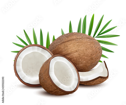 Coconut. Fresh tropical opened coco fruit with milk and palm green leaves vector natural dessert. Coconut fruit and green leaf palm, exotic coco illustration