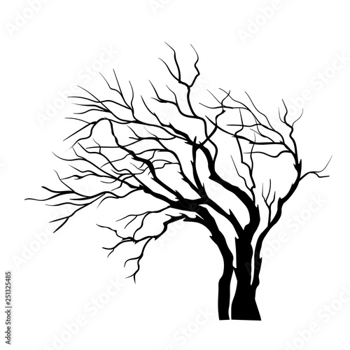 vector silhouette of Tree isolated on the white