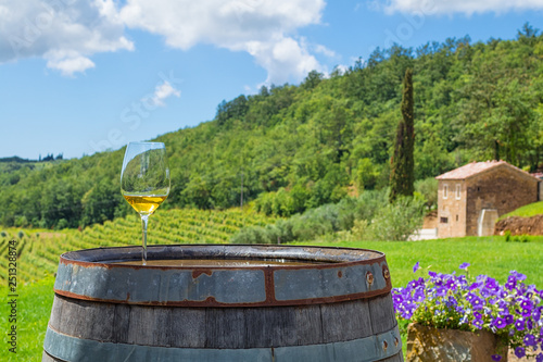 glass of white wine on vineyard in Istria, Croatia.