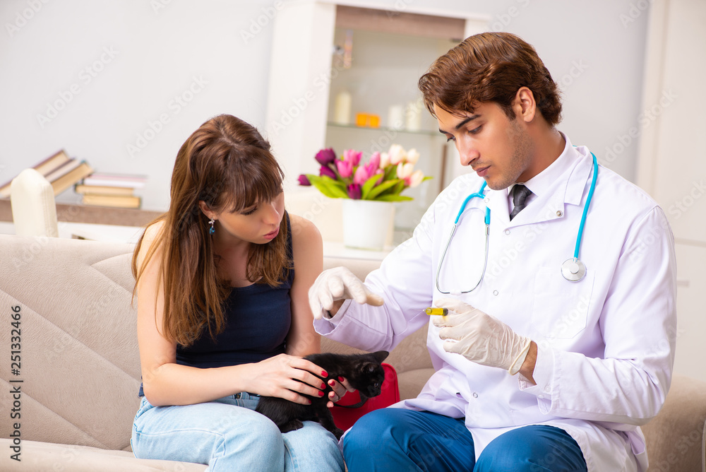 Fototapeta premium Vet doctor visiting sick kittens at home