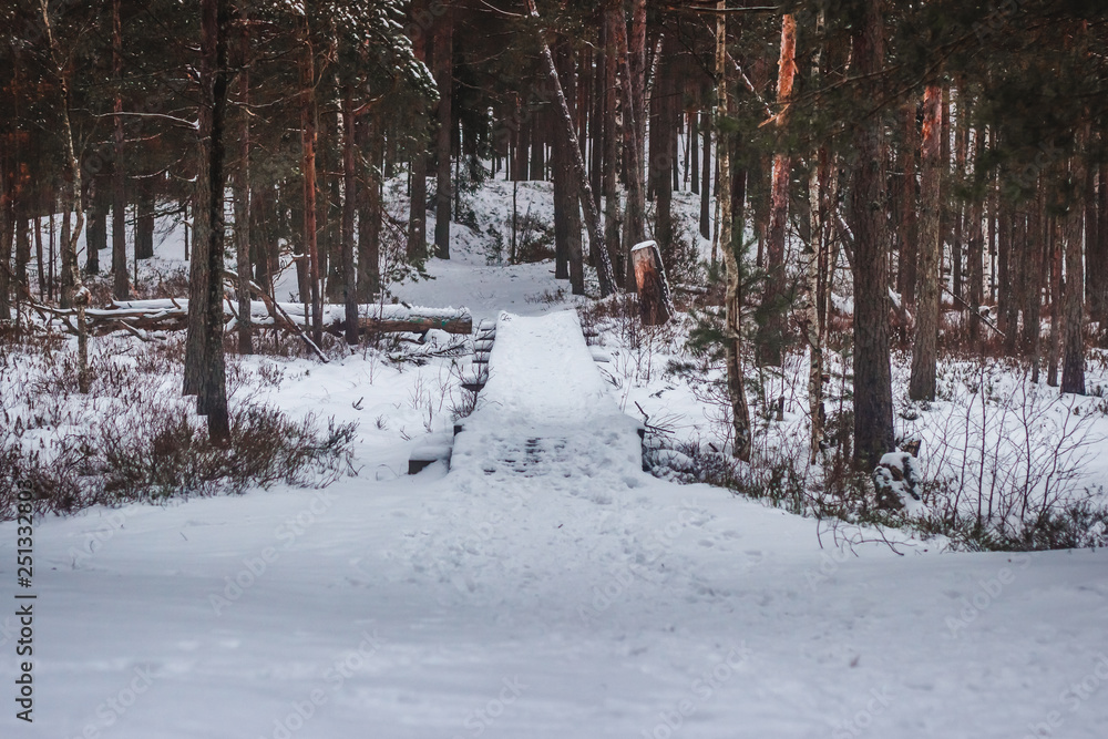 Naklejka premium A path in snow in a forest in natur at winter season