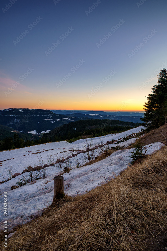 Schwarzwald Schwarzwald