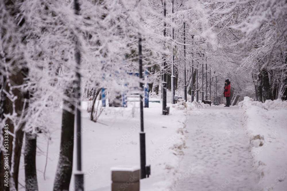 Winter alley in the park on a snowy day Winter alley in the park on a snowy day