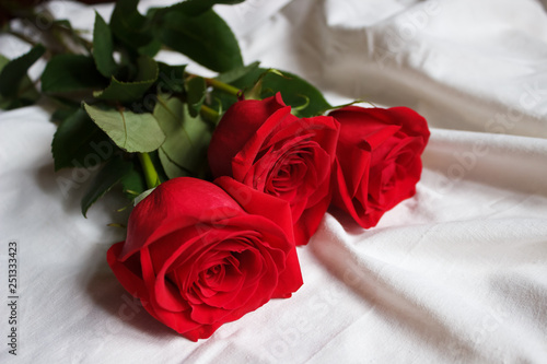 three red roses with a green stem lie on a white sheet on the bed