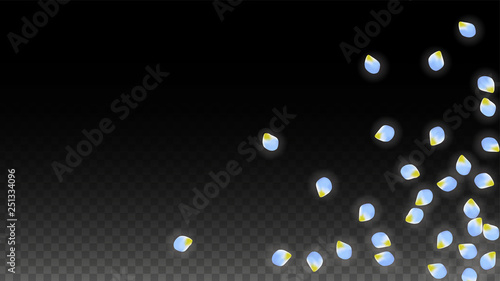 Vector Realistic Blue Petals Falling on Transparent Background.  Spring Romantic Flowers Illustration. Flying Petals. Sakura Spa Design. Blossom Confetti.
