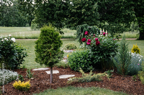Close up of a beautiful flower bed. Garden detail.