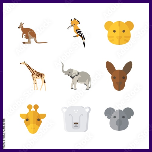Fototapeta Naklejka Na Ścianę i Meble -  9 zoo icon. Vector illustration zoo set. koala and polar bear icons for zoo works