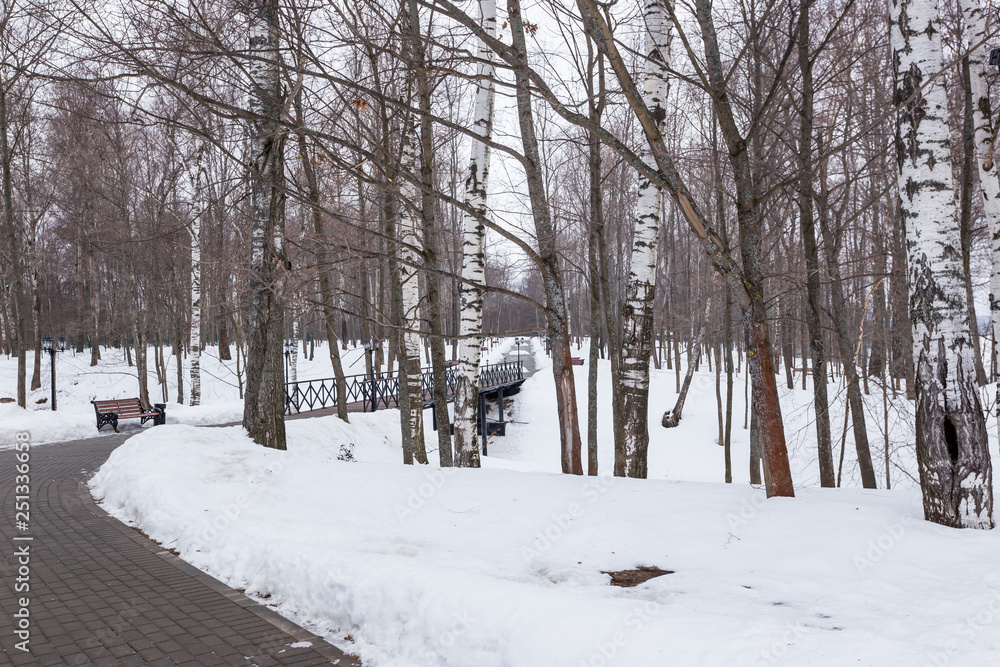 Scenic image of spruces trees. Frosty day, calm wintry scene. Location Russia. Great picture of wild area. Tourism or Christmas concept. Scenic image of spruces trees. Frosty day, calm wintry scene. Location Russia. Great picture of wild area. Tourism or Christmas concept.