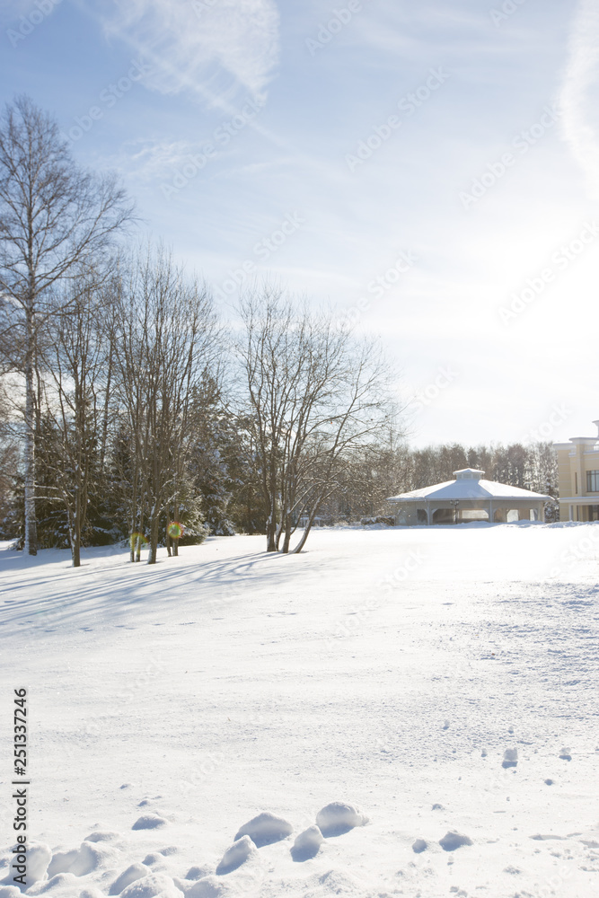 Scenic image of spruces trees. Frosty day, calm wintry scene. Location Russia. Great picture of wild area. Tourism or Christmas concept. Scenic image of spruces trees. Frosty day, calm wintry scene. Location Russia. Great picture of wild area. Tourism or Christmas concept.