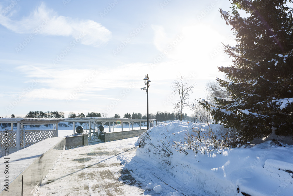 Scenic image of spruces trees. Frosty day, calm wintry scene. Location Russia. Great picture of wild area. Tourism or Christmas concept.