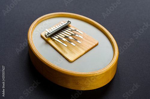 Sansula kalimba simple instrument played with thumbs photo