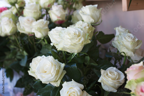 Large white roses stand on sale in a flower shop. Women s congratulations concept