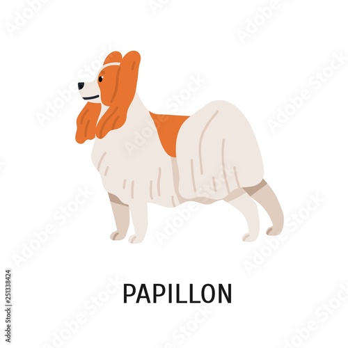 Papillon or Continental Toy Spaniel