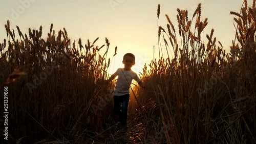 A happy laughing boy runs across a wheat field in the rays of the sun at sunset. Soly farm and harvest. To meet the camera. photo