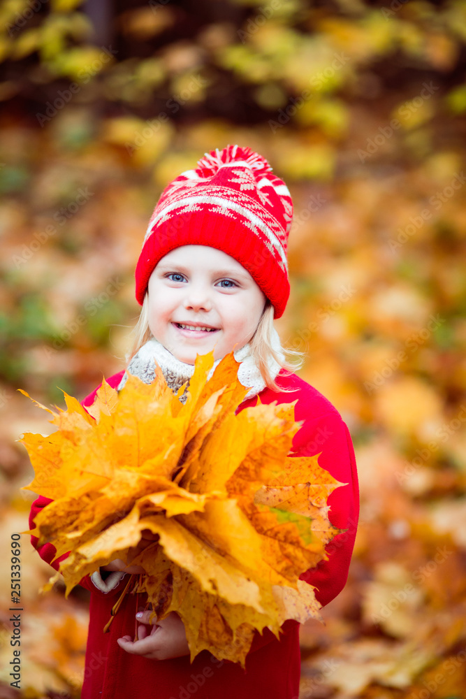 little girl 4 years old in a red hat and coat walking in autumn park in October, during the golden autumn with a bouquet of yellow maple leaves smiling little girl 4 years old in a red hat and coat walking in autumn park in October, during the golden autumn with a bouquet of yellow maple leaves smiling