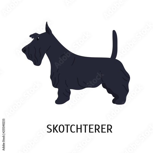 Scottish Terrier or Scottie