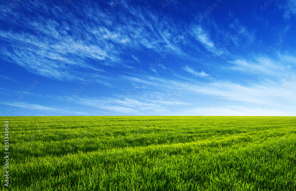 green field and blue sky