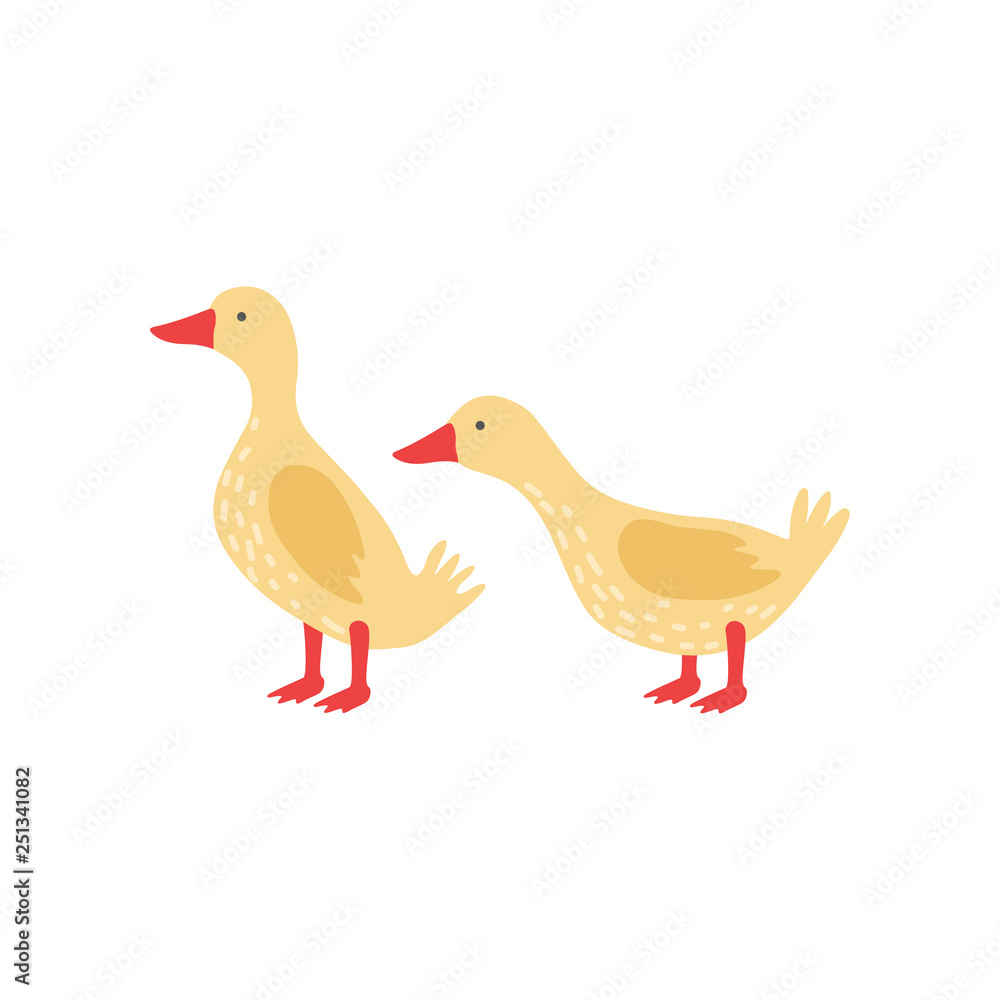 Two Cute Yellow Goslings Cartoon Characters Vector Illustration