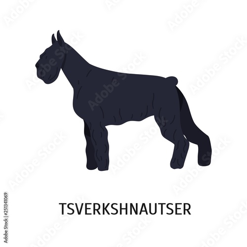 Miniature Schnauzer or Zwergschnauzer