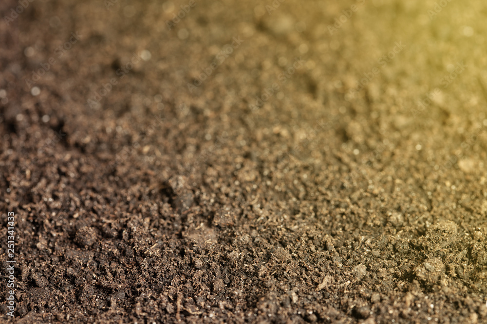 Soil background with light spot