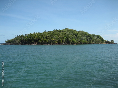 Fototapeta Naklejka Na Ścianę i Meble -  Île Royale, Insel in Französisch-Guayana