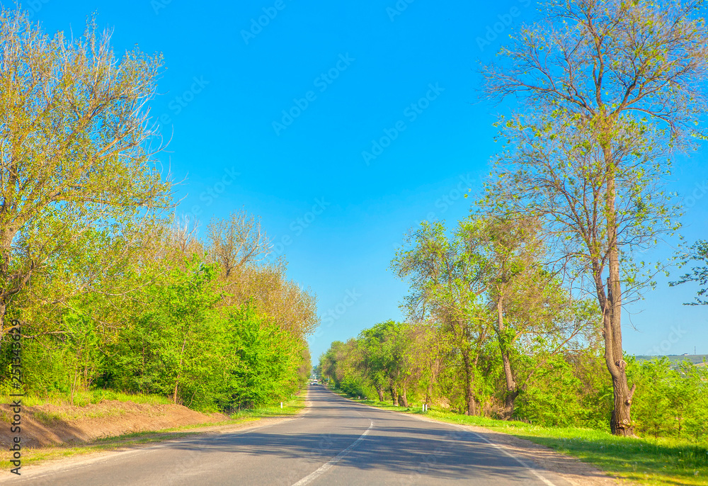 Driving car in the summer day Driving car in the summer day