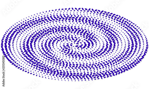 Spiral waves from blue ellipses. Concentric circles