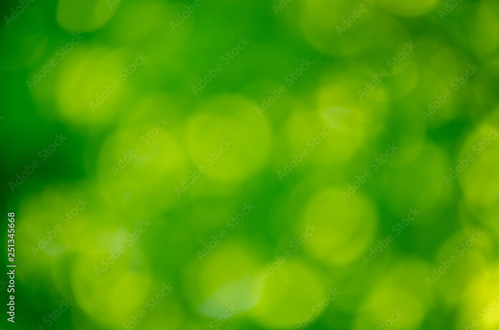 Obraz premium Green bokeh background from nature forest out of focus