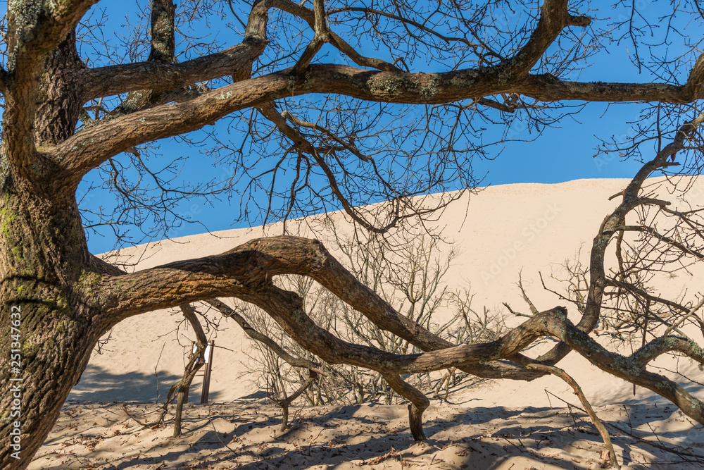 DUNE DU PILAT (Bassin d'Arcachon, France) DUNE DU PILAT (Bassin d'Arcachon, France)
