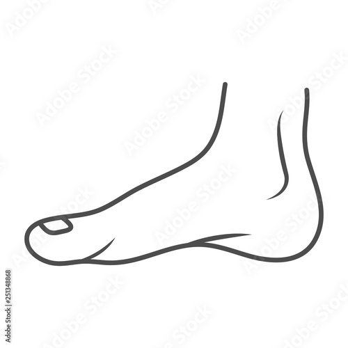 Human Leg, Ankle, Orthopedics, Organs Concept. Vector Illustration Can Be Used For Topics Like Anatomy, Medicine. Isolated On A White Background. Vector Illustration. Orthopedics, Organs Concept.