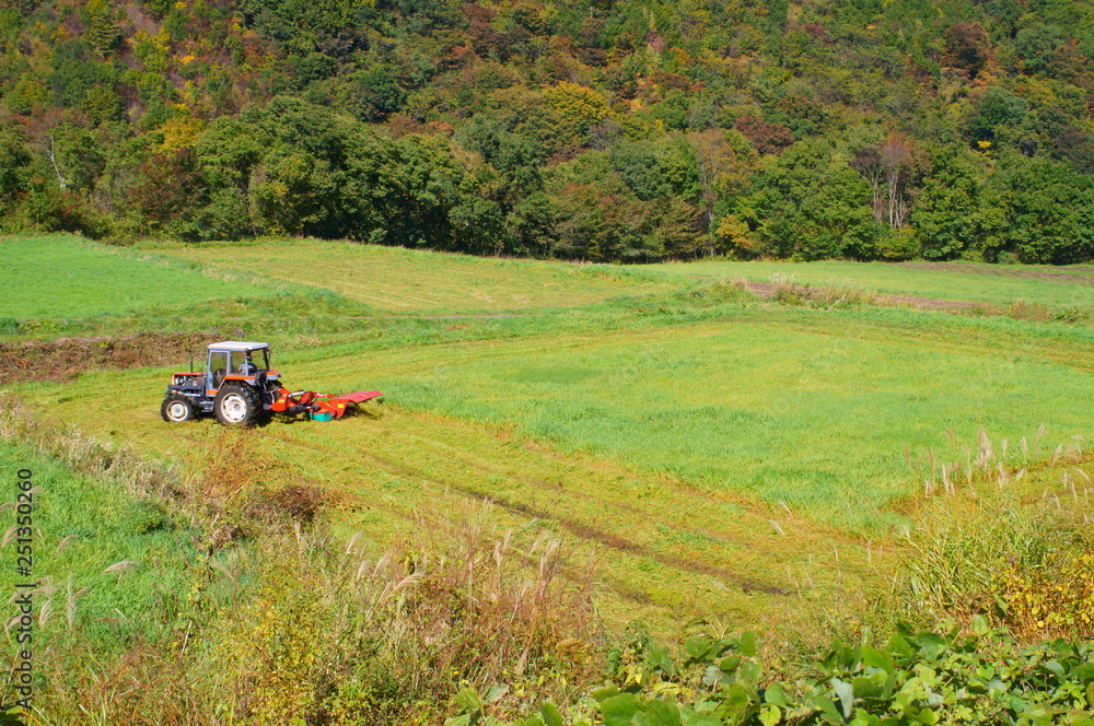 Tractor Mowing harvest Grass Tractor Mowing harvest Grass