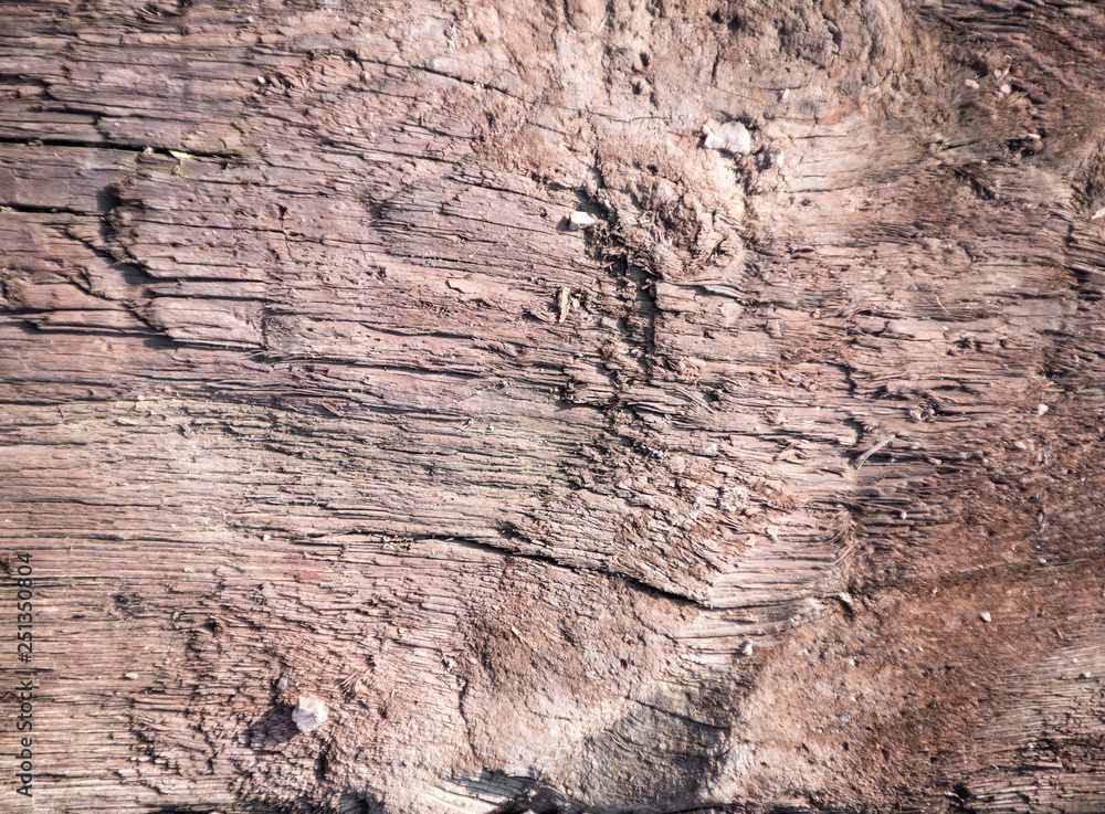 Fototapeta premium Texture of old wood use as natural background