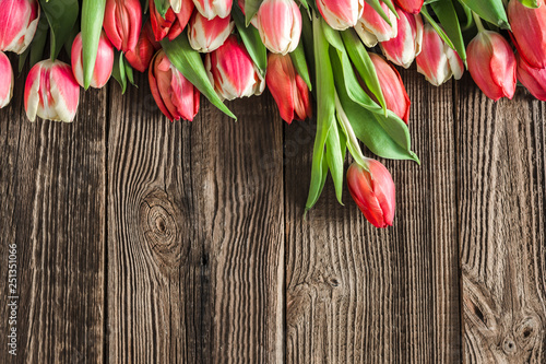 Colorful tulips on wooden background. Spring tulip flowers. Mothers day card.