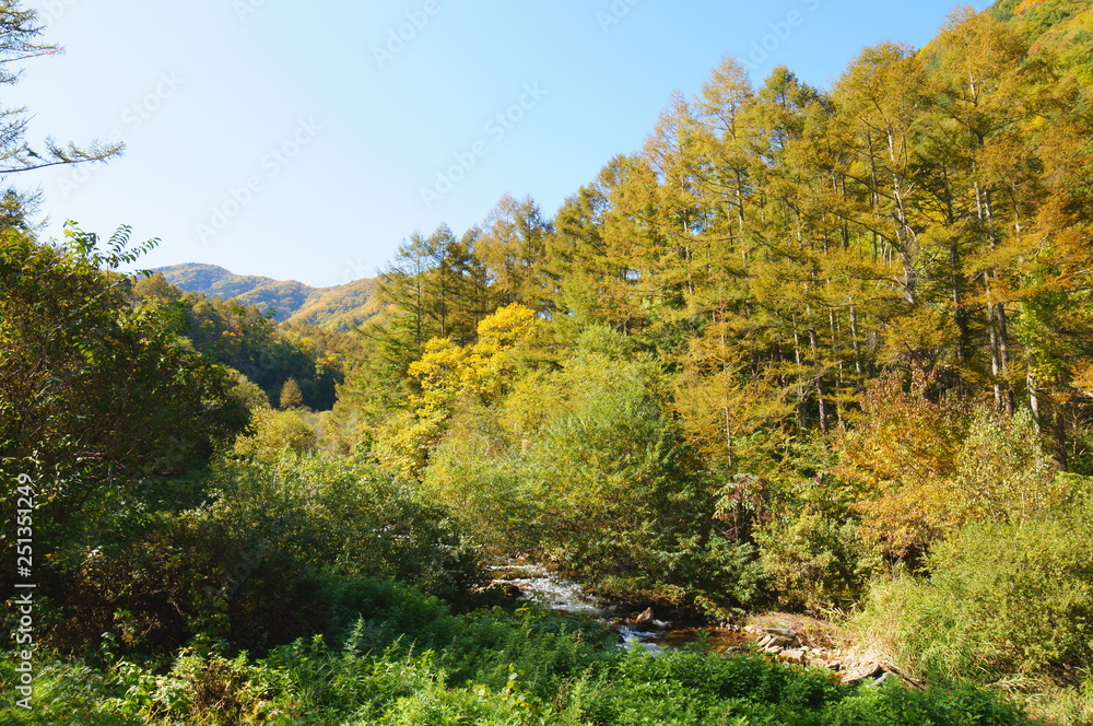 Mountains of autumn of Japan