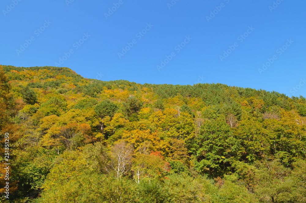 Mountains of autumn of Japan