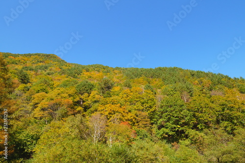 Fototapeta Naklejka Na Ścianę i Meble -  Mountains of autumn of Japan